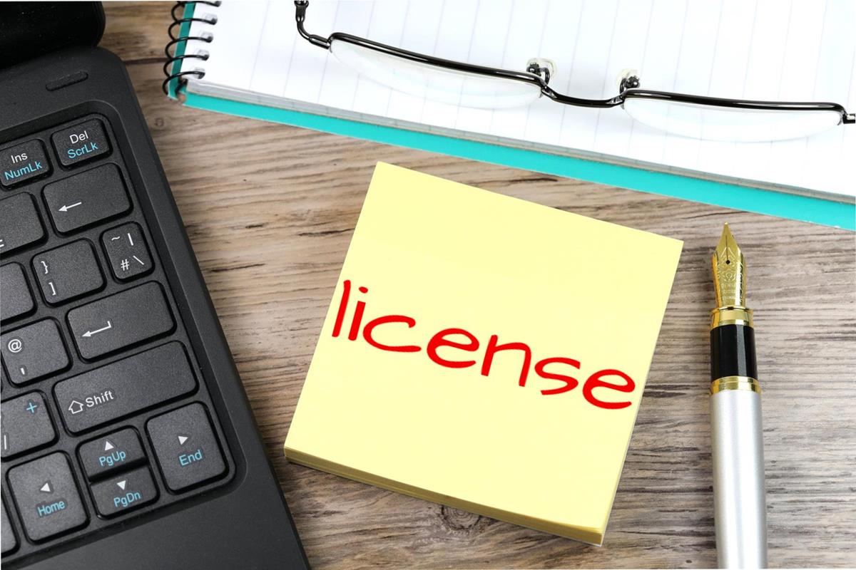 sirjoe online license picture